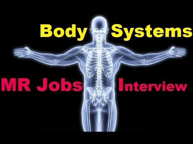 MR Interview (Body Systems) jobs