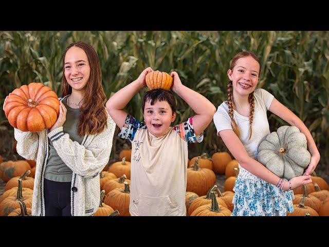 Happy Fall Y'all!