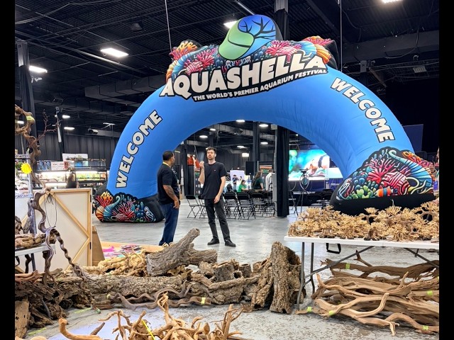 I Went To Aquashella NJ 2026 And This Happened!