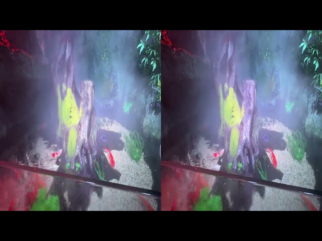 Apple Spatial Video 3D sample on Ocean World  | iPhone 15 Pro Max