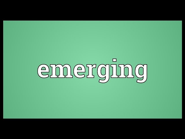 Emerging Meaning