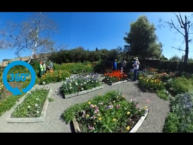 The Bulb Guy - Garden Visit - 360 Sphere