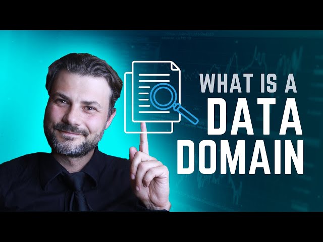 What is a Data Domain?