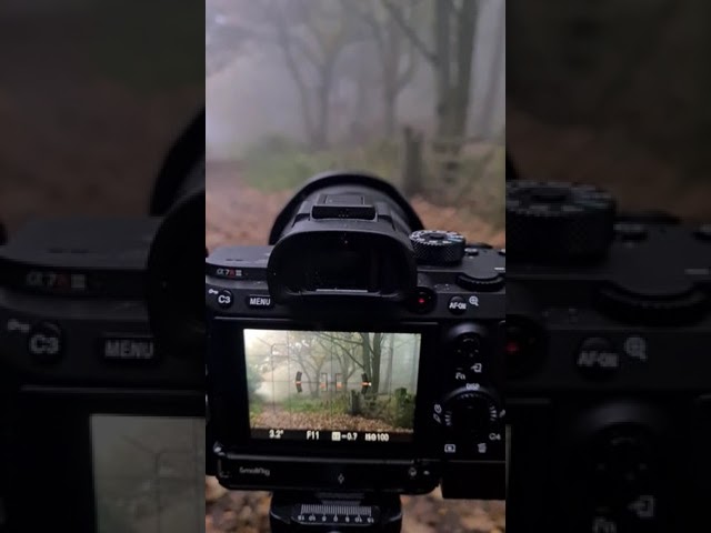The Gate .... Revisited 🥰📷👍