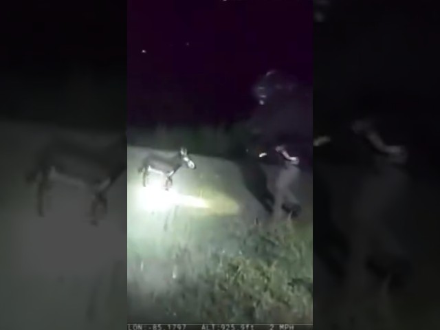 Arrest These Officers NOW