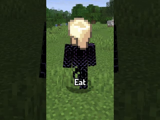 Mini Mod Reviews - Eat Absolutely Everything