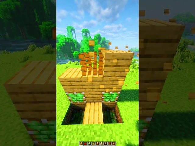 blocke switcher in Minecraft! #story  #minecraft  #tutorial