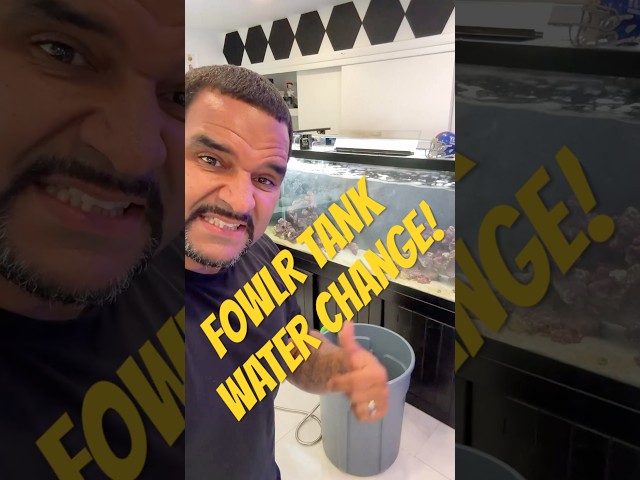 Saltwater FOWLR Tank (Tap Water) Water change! 😁💪💦 #aquariumhobby #saltwatertanklife