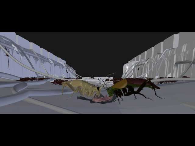 Cockroaches simulation #3