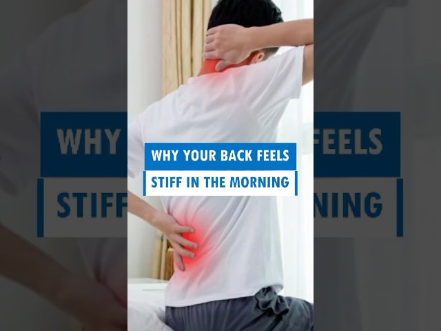 Why Your Back Feels Stiff in the Morning #shorts