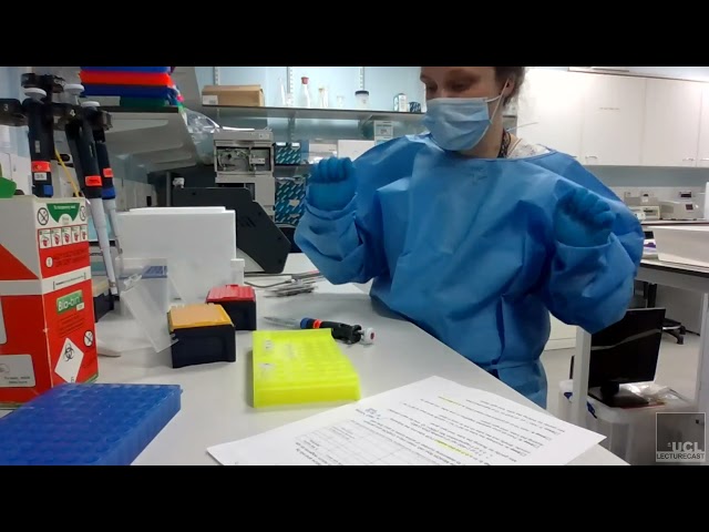 Oxford Nanopore Technologies Rapid Barcode Kit - Library preparation protocol (SQK-RBK004)