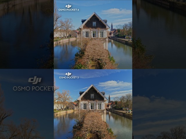 DJI Osmo Pocket 4 vs Osmo Pocket 3 πΈ