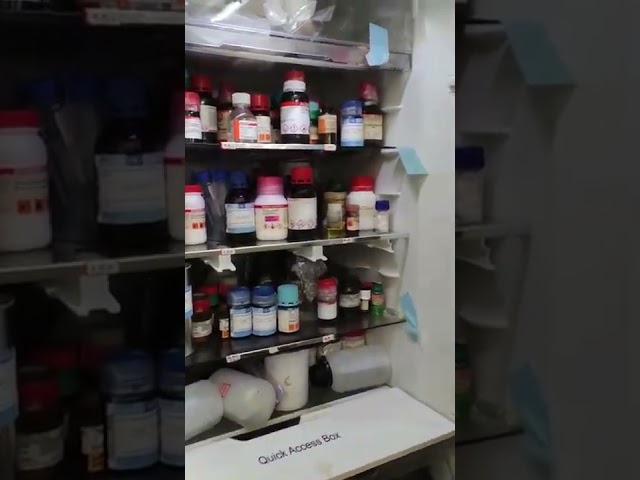 Normal Fridge vs Chemistry Fridge #shots #expectationvsreality #laboratory