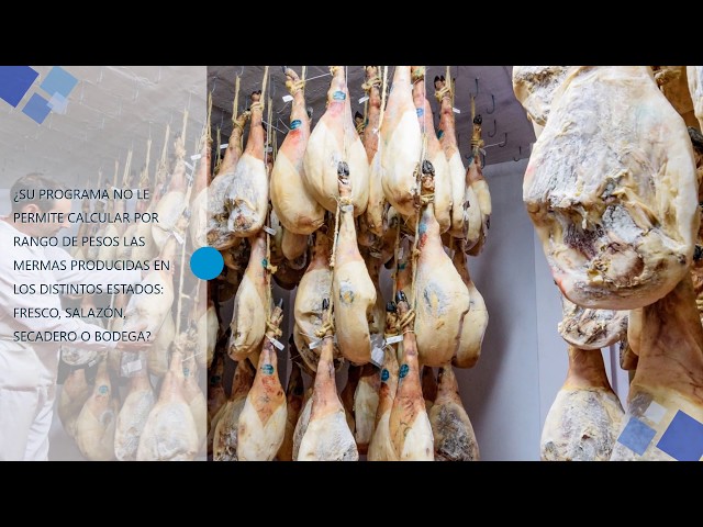 Software ERP para fabricantes y distribuidores de jamones, embutidos e ibéricos.