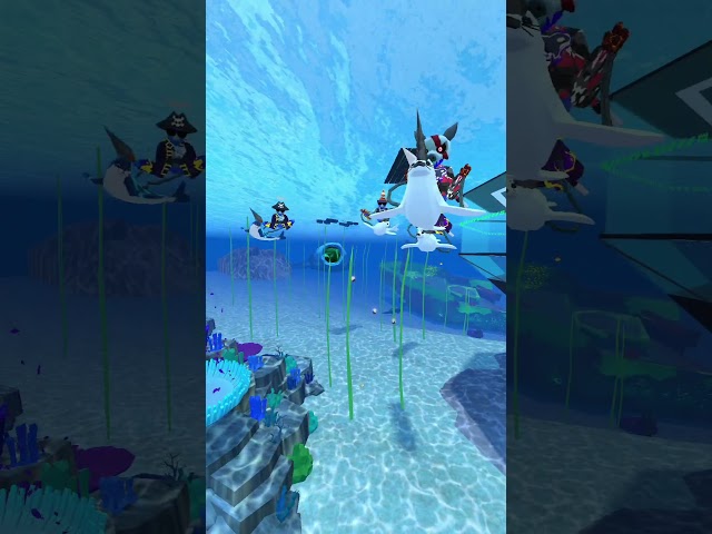 Narwhals! (#sharkgo )
