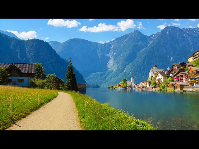 🚲 I could ride here every single day...