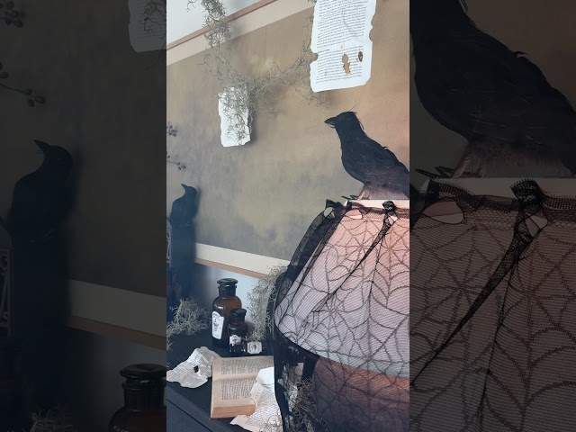 Early Halloween home decor inspo for the fall girlies!!! #halloween #halloweendecor