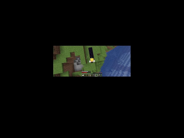 MINECRAFT JAVA SURVIVAL!!!