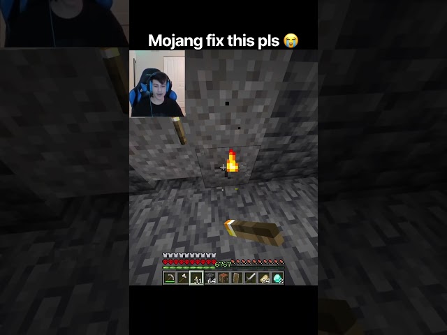 Mojang fix this pls ☠️