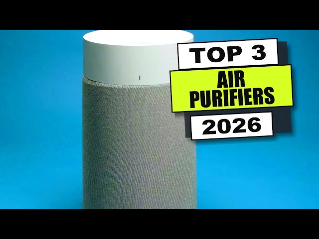 Top 3 BEST Air Purifier 2026 (Budget to Premium)