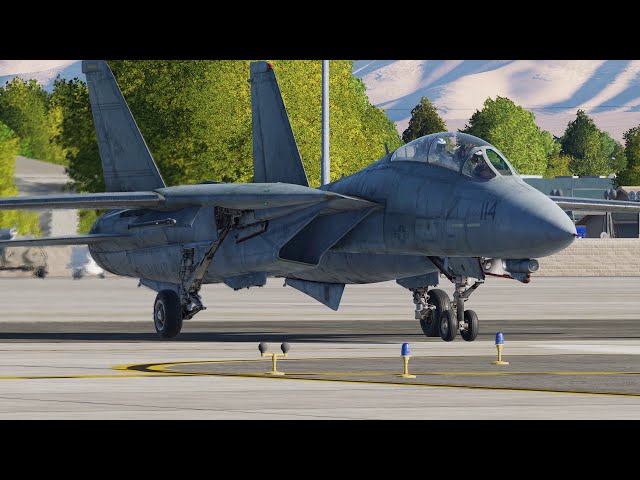 DCS: Heat Blur Simulations F-14 Start up guide.