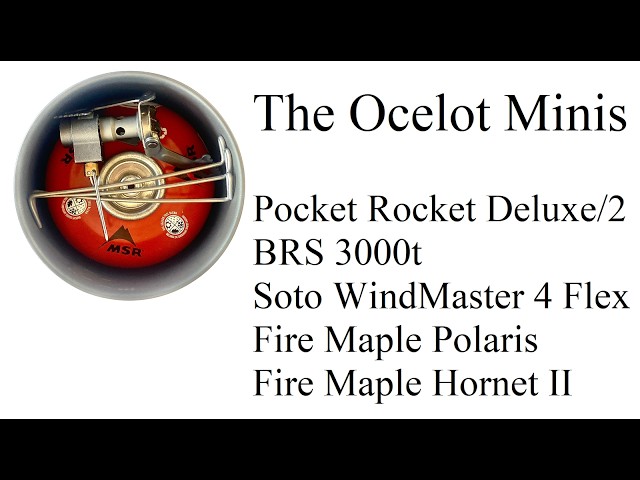 Ocelot Minis - the Unicorns of Windscreens