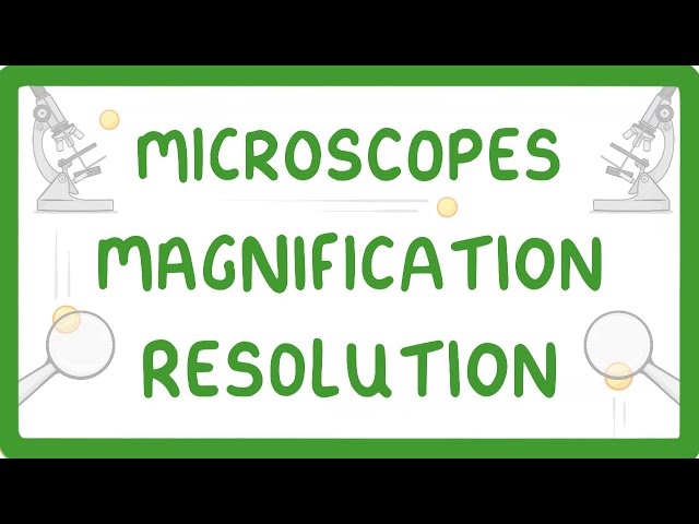 GCSE Biology - What is Microscopy? (2026/27 exams)