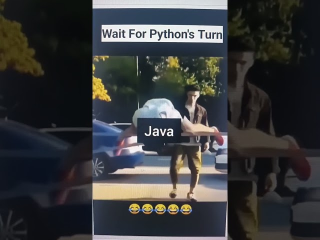 Python Supremacy #programming #coding #ai