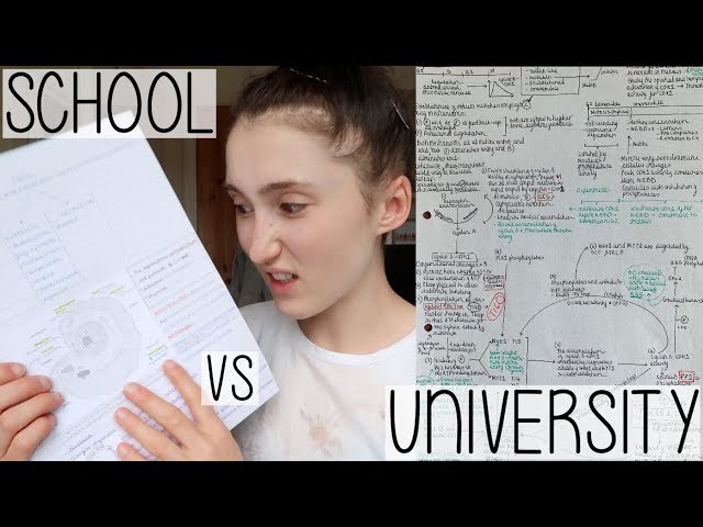 MY EXAM SECRETS #001 | REVISION NOTES AT UNIVERSITY VS A-LEVEL (& TEACHING JOB APPLICATIONS UPDATE)