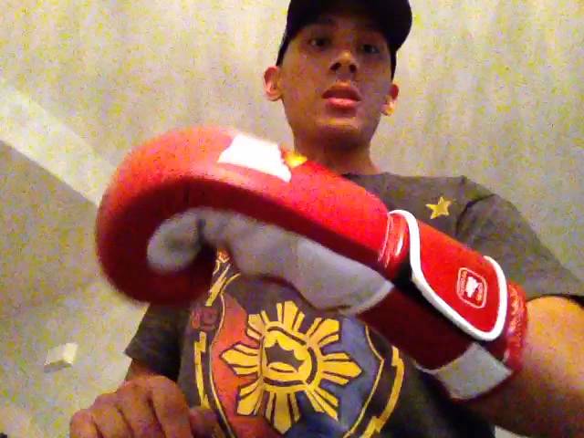 Everlast MX Pro Training Gloves REVIEW