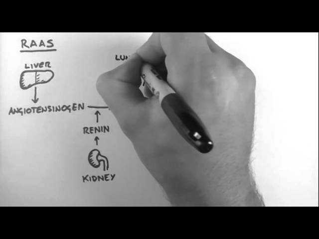 Renin-Angiotensin-Aldosterone System