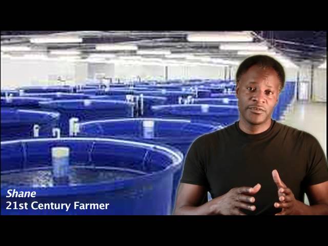 Basic Aquaponics Trailer