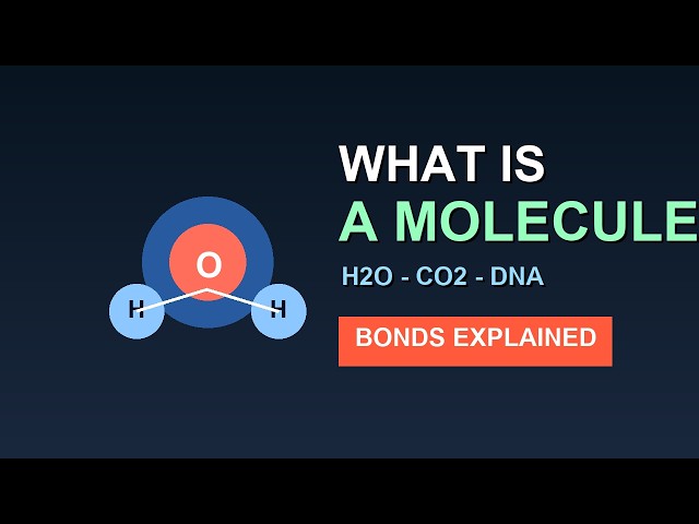 What Is a Molecule? Bonds, Water, DNA & Life Explained in 4 Minutes
