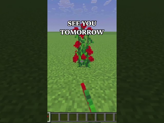 Day 16 #minecraft #minecraftshorts #minecraftmemes