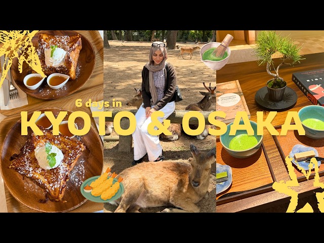 everything I ate in KYOTO & OSAKA | must try cafes, best restaurants, universal studios japan vlog