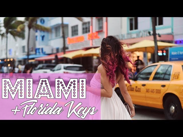 I miei LOOK, cibo AMERICANO e ALLIGATORI! MIAMI E FLORIDA vlog!