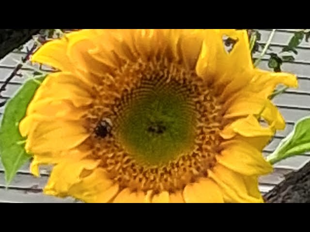 The Astrology of August 29, 2026: Still reeling...