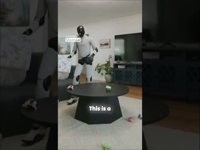 Are robots really ready for our homes