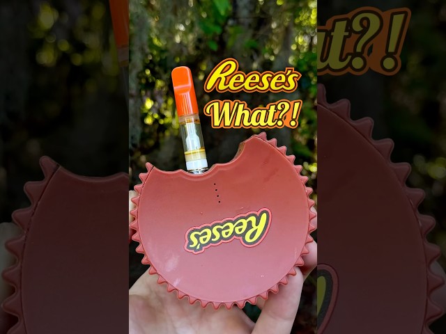 I Turned a Reese’s Cup Into Functional Art 😂