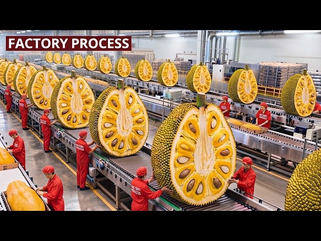 Inside a Modern USA Jackfruit Chips Factory — How They Create the Perfect Crunch | Full Process