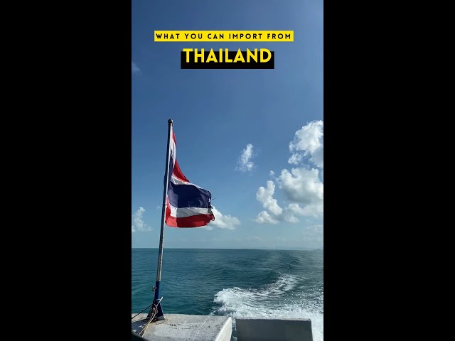 WHAT YOU CAN IMPORT FROM THAILAND | Thailand Top Ten Exports #shorts