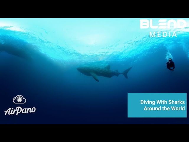 Diving With Sharks by AirPano - Teaser