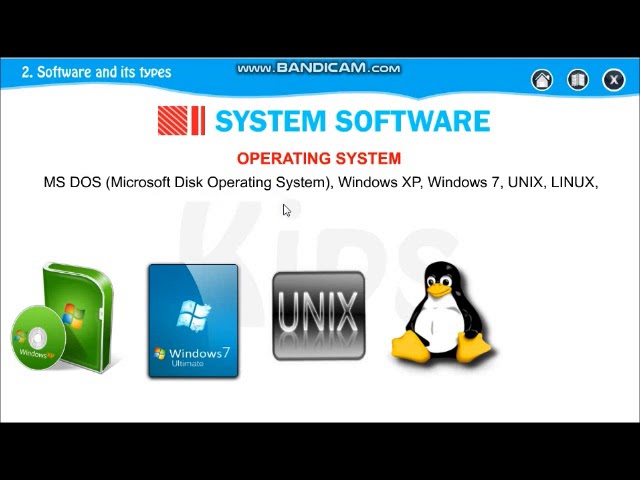 Std V Lesson 2 Software and Its Types #software