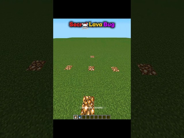 Minecraft Secret Bug Moment