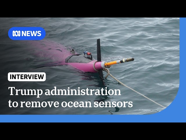 Trump administration to sink key ocean monitoring system | The World | ABC NEWS