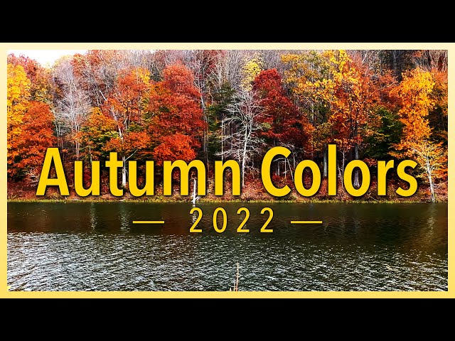 4K HDR Nature: Autumn Colors (2022) | Black Hill Regional Park