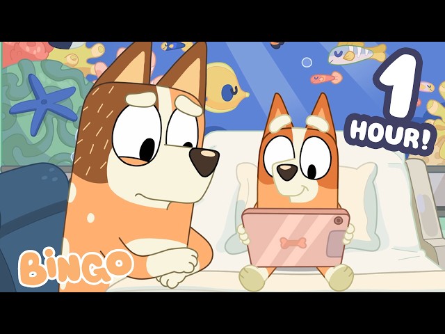 Bluey Tries To Make Bingo Feel Better 🤢🧡﻿ | Bingo - Official Channel