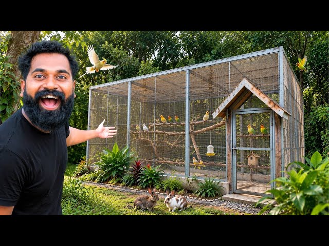 Ep 5 Building A Giant Bird House  | നമ്മുടെ കിളിക്കൂടിന് പണികിട്ടി 🥹🥹🥹 | M4 Tech |