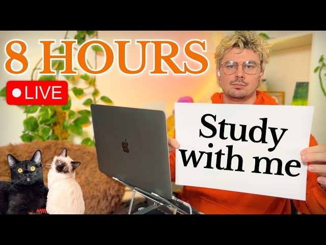 Study With Me (&🐱) LIVE 🚀 8-HOURS — Deep Focus (50/10 Pomodoro)