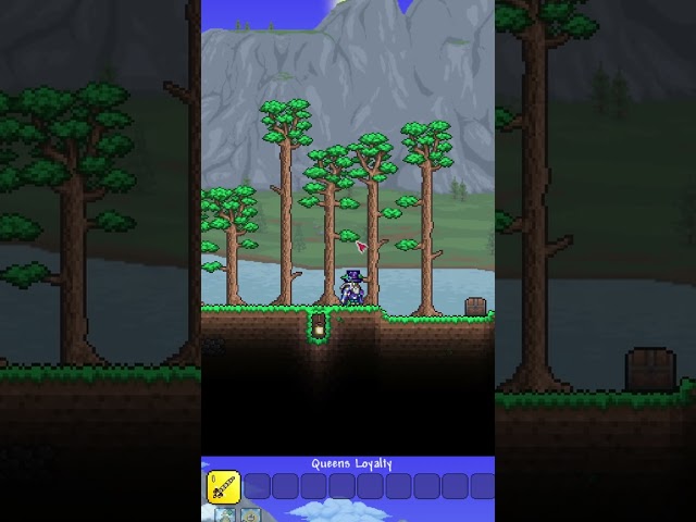 Coding my viewers ideas into terraria